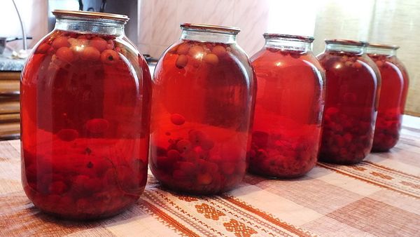 Hawthorn compote: the benefits and harms of drinking, drink recipes from dried, fresh berries with seeds, apples for the winter