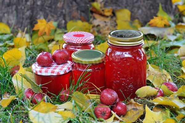 Hawthorn compote: the benefits and harms of drinking, drink recipes from dried, fresh berries with seeds, apples for the winter