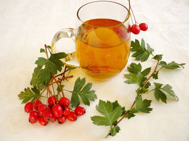 Hawthorn flowers: how to brew and how to drink