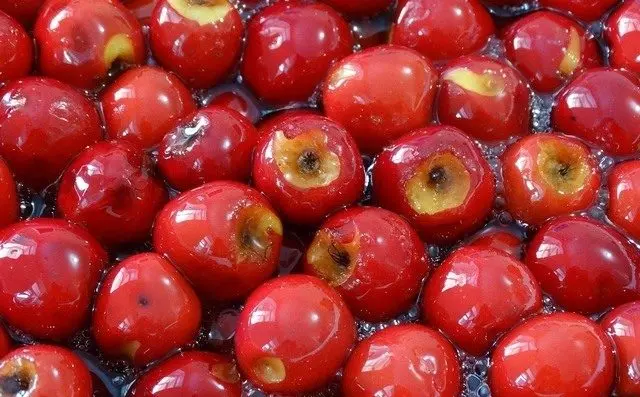 Hawthorn jam with pits: 17 recipes for the winter