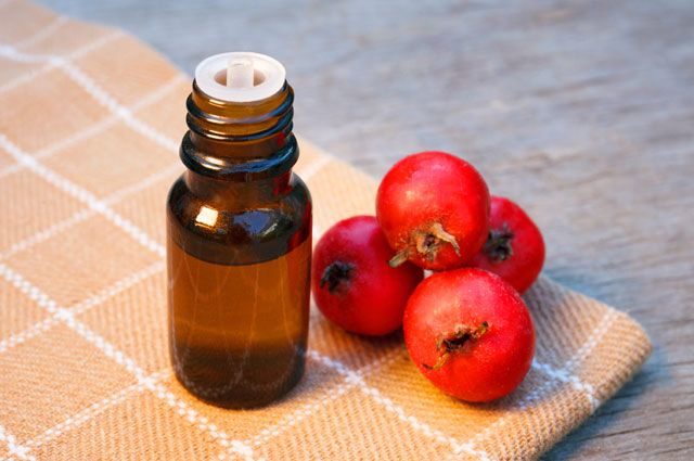 Hawthorn tincture on vodka at home