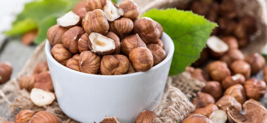 Hazelnuts and hazelnuts (hazelnut): benefits and harms