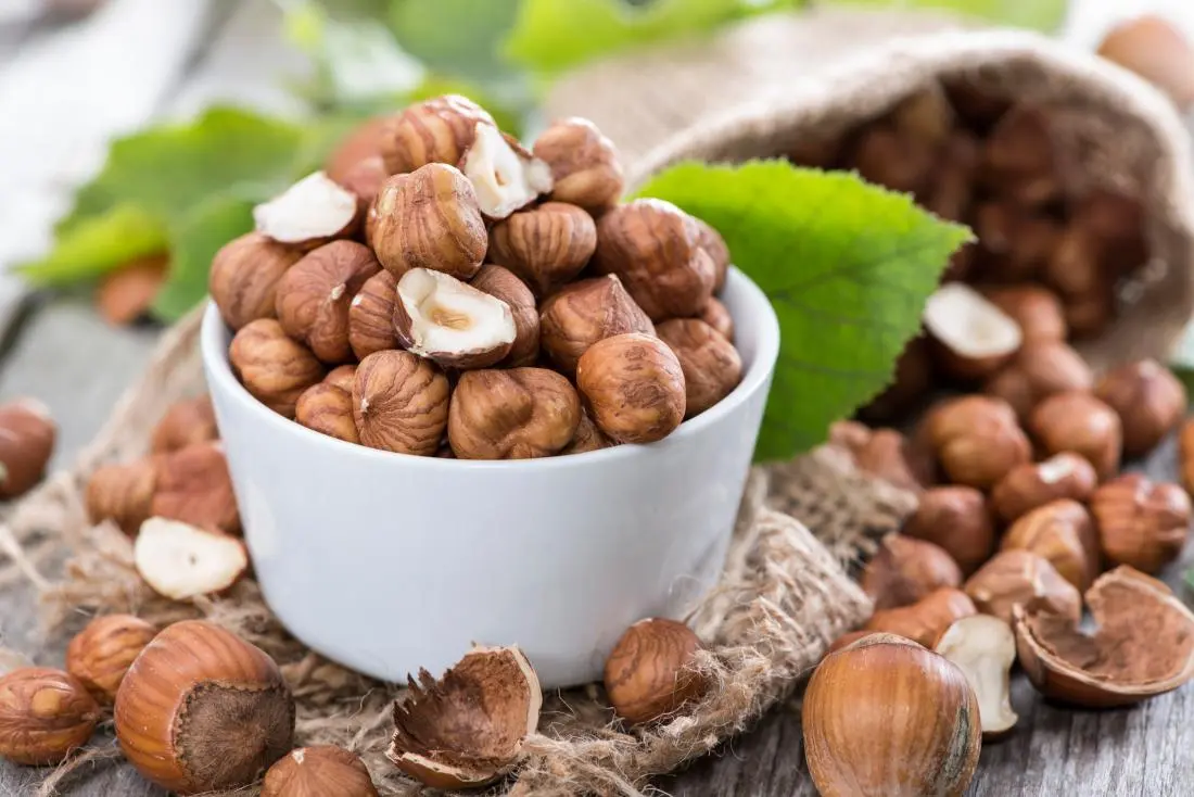 Hazelnuts and hazelnuts (hazelnut): benefits and harms