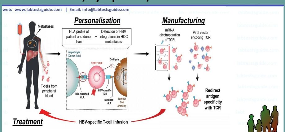 HBsAg &#8211; detects hepatitis B infection