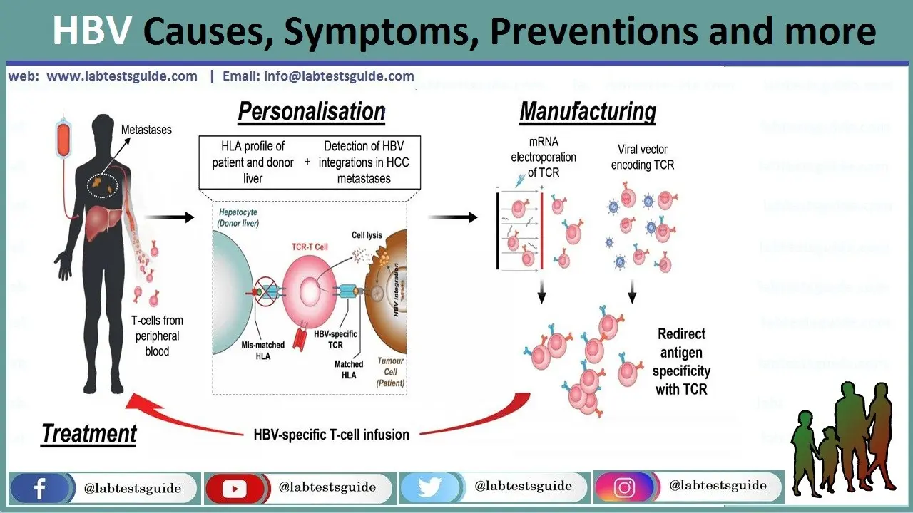 HBsAg &#8211; detects hepatitis B infection