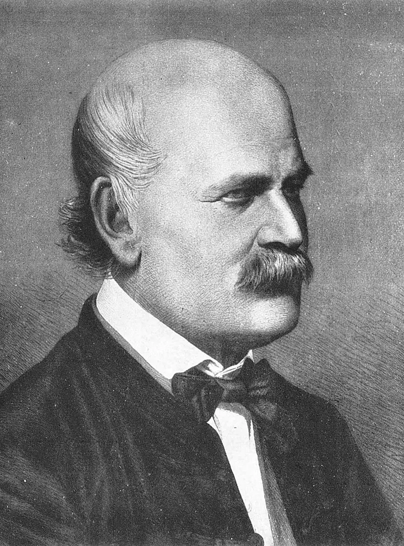 He told doctors to wash their hands before examining the patient. Who was Ignaz Semmelweis, the creator of modern antiseptics?