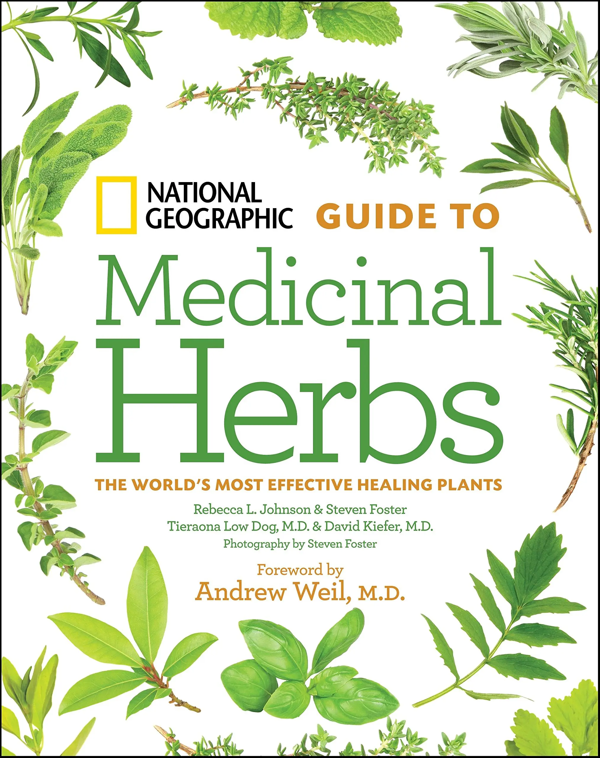 Healing herbs and plants