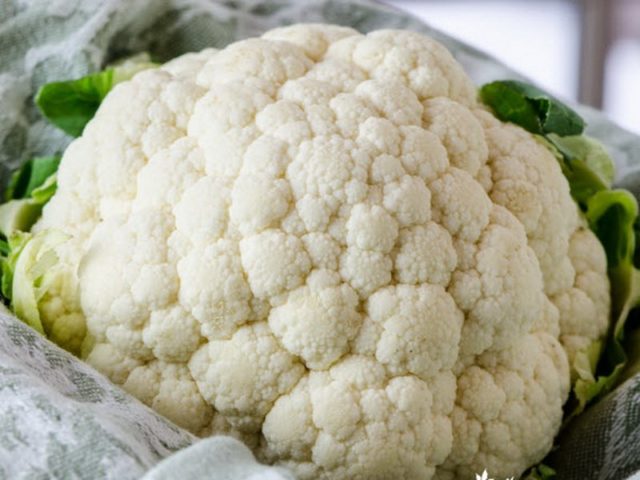 Health benefits and harms of cauliflower, chemical composition