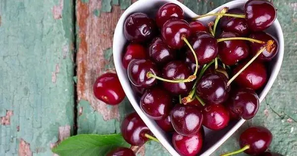 Health benefits and harms of cherries