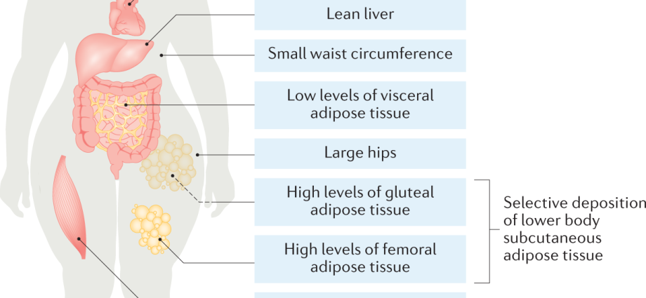 Healthy obesity? Does not exist