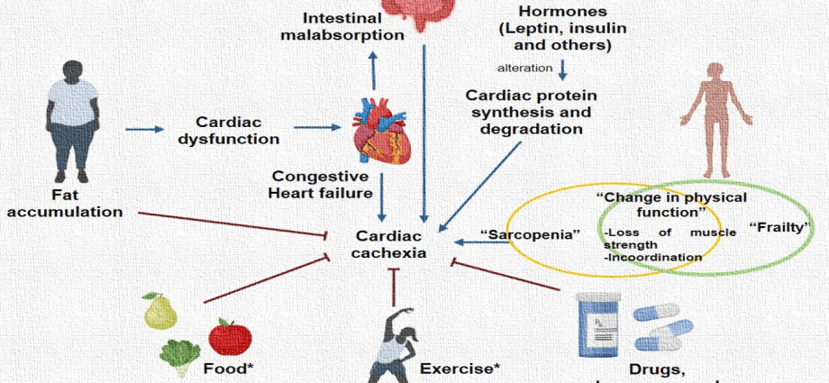 Heart failure predisposes to an earlier onset of andropause