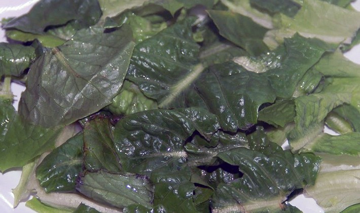 Hearty salads with champignons and nuts