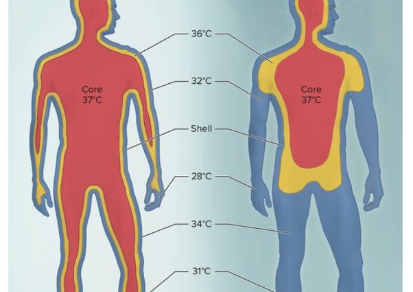 Heat escapes through the head? Scientists know the answer