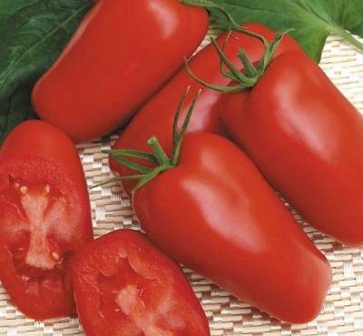 Heat resistant tomato varieties