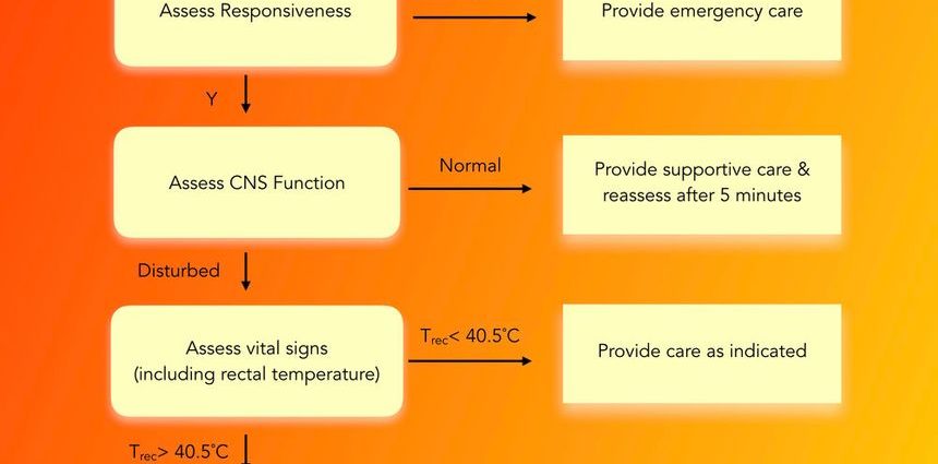 Heat stroke &#8211; when to call an ambulance? Signals that we are cooking from the inside