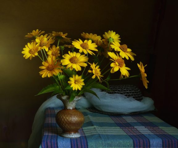 Heliopsis sunflower-shaped, rough: varieties with photos and descriptions