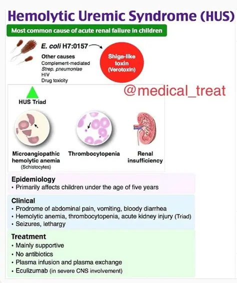 Hemolytic uremic syndrome &#8211; causes, symptoms, treatment