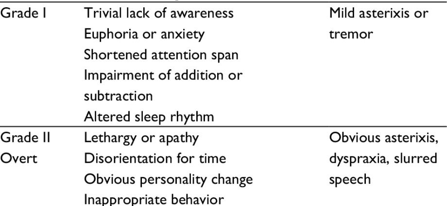 Hepatic encephalopathy &#8211; causes, symptoms and treatment