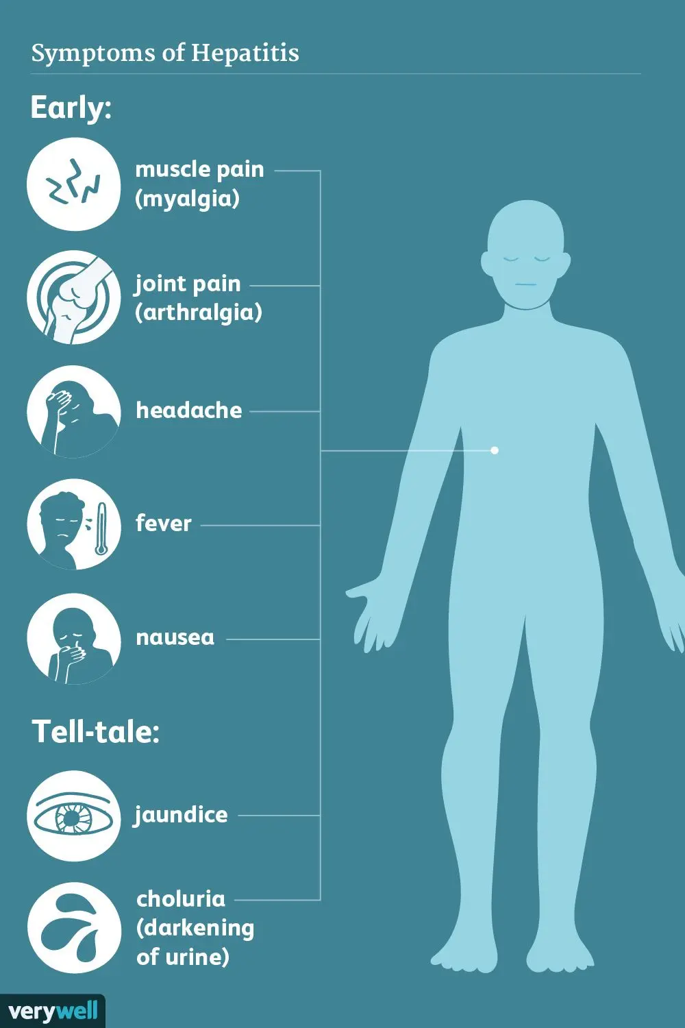 Hepatitis &#8211; symptoms and treatment of hepatitis A and B. What are the warning signs?