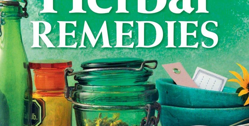 Herbal medicine &#8211; for whom and how to do it? Natural medicine, herbs and recipes