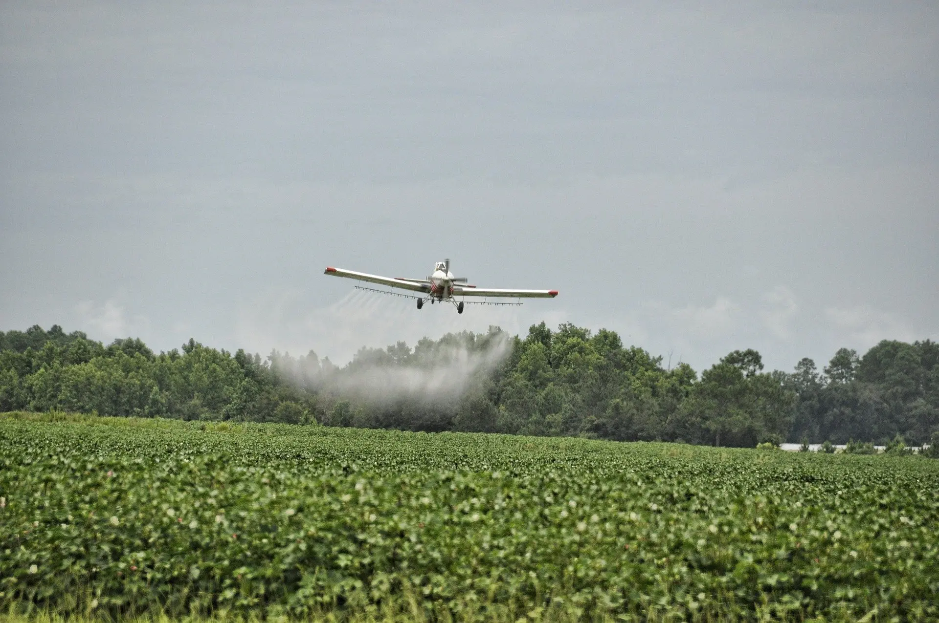 Herbicide Glider: reviews