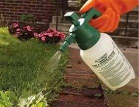 Herbicide Lintur: instructions for use 