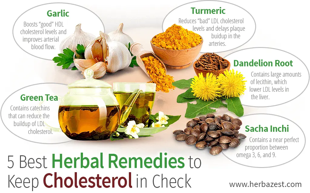 Herbs for lowering cholesterol. What natural remedies to use?