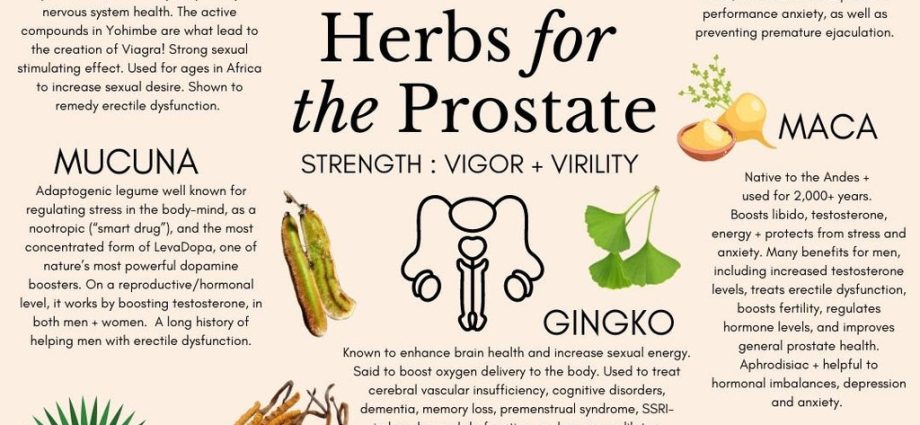 Herbs for the prostate. How to prepare the infusion?