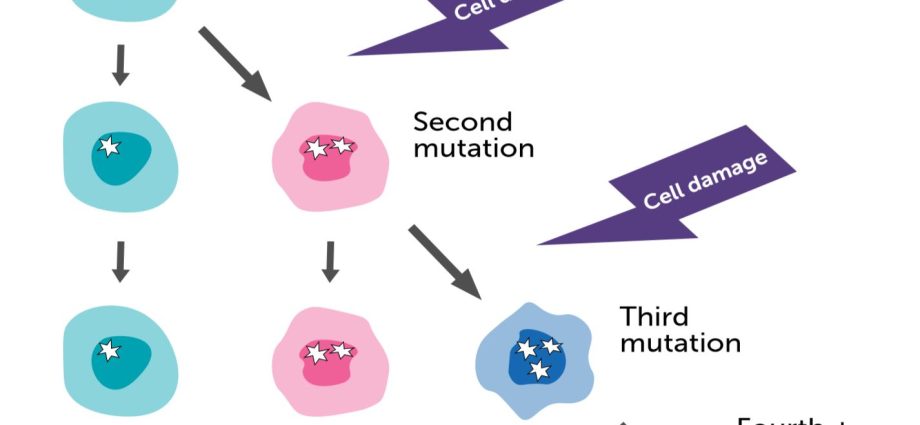 Hereditary neoplasms, which are what?