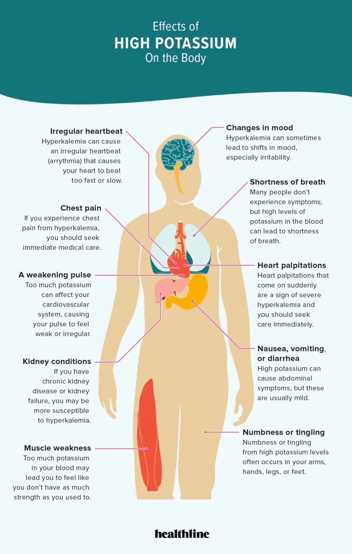 High potassium levels &#8211; can it be a risk to your heart?