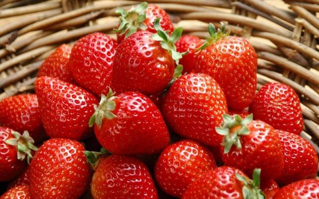 High yielding strawberries