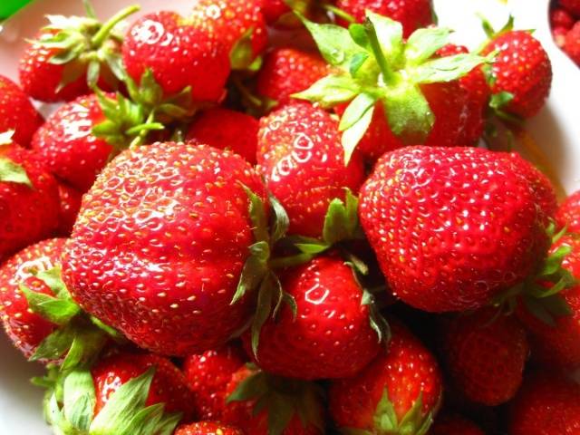 High yielding strawberries