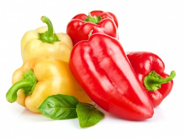 High-yielding varieties of pepper for open ground