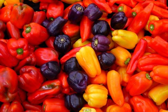 High-yielding varieties of pepper for open ground