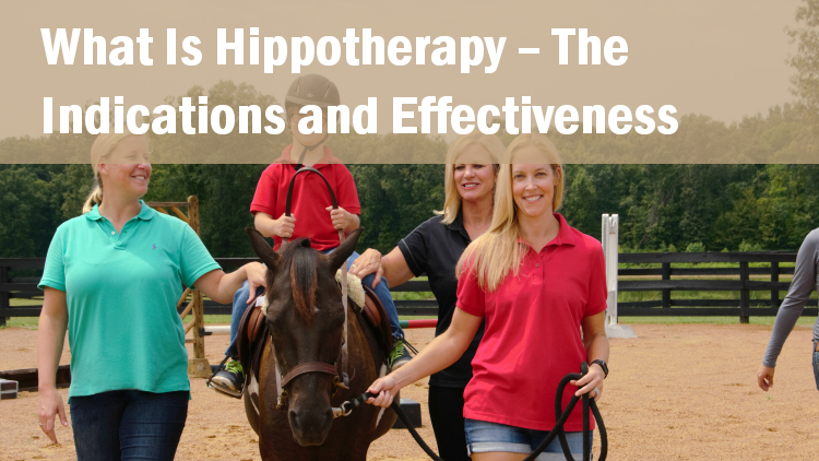 Hippotherapy &#8211; advantages, indications, contraindications, prices. What is hippotherapy?