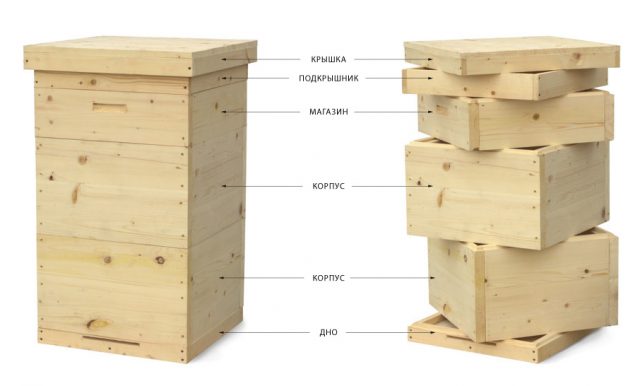 Hive Root 10 frames + drawings