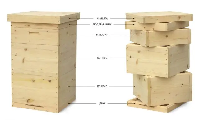 Hive Root 10 frames + drawings