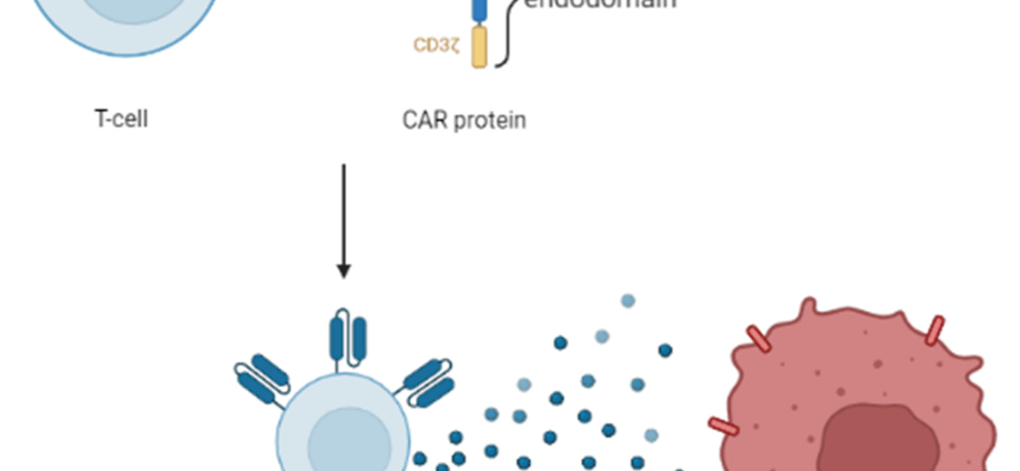 Hodgkin&#8217;s lymphoma &#8211; one of the rarest cancers. How does his treatment in Poland look like?