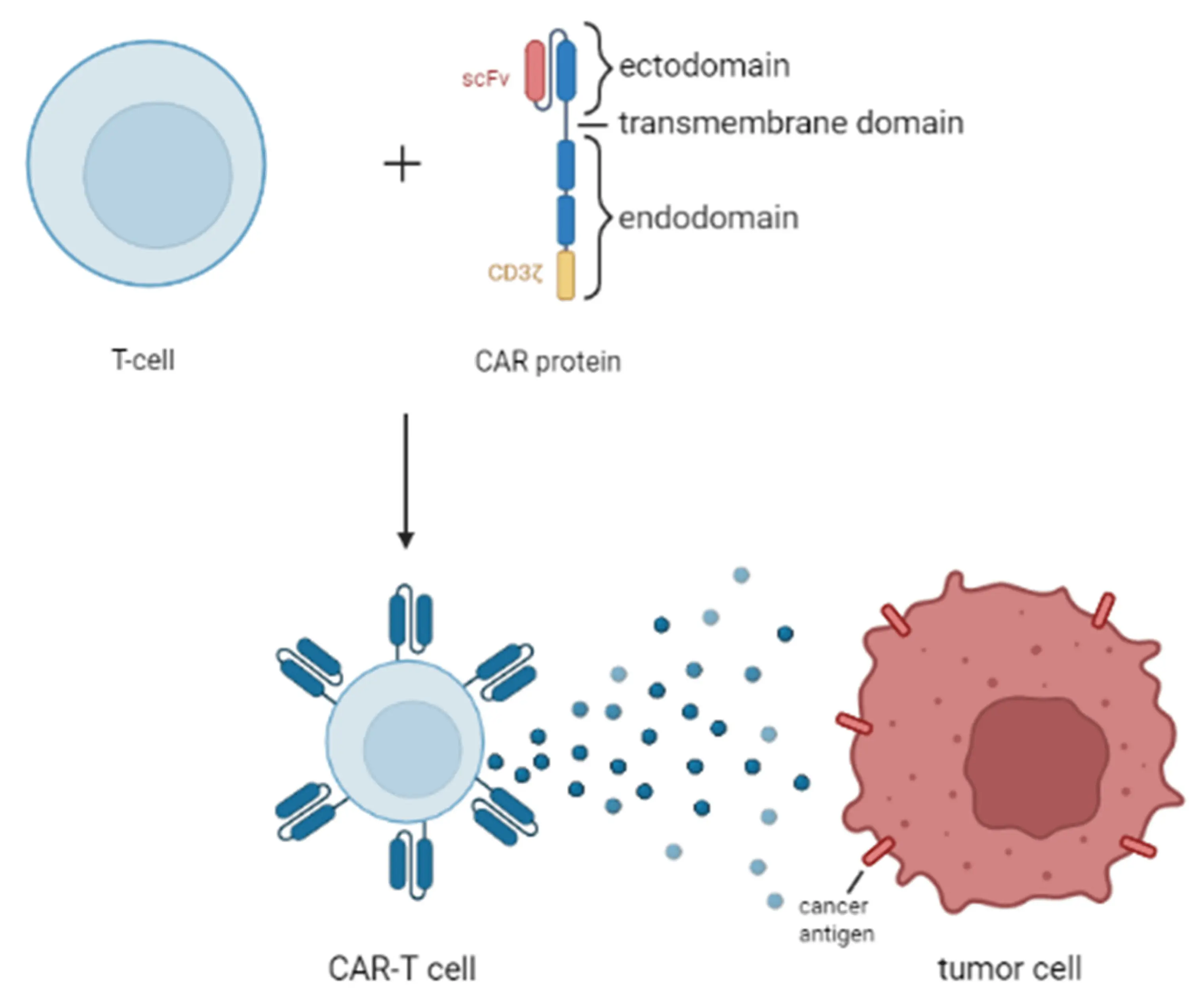 Hodgkin&#8217;s lymphoma &#8211; one of the rarest cancers. How does his treatment in Poland look like?