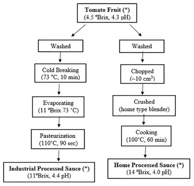 Homa processing of tomatoes