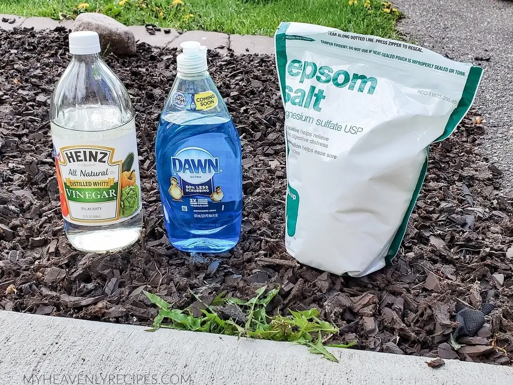 Home remedy for weeds with vinegar