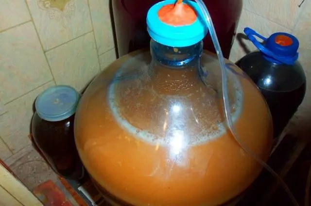 Homemade apple juice wine: recipe