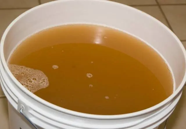 Homemade apple juice wine: recipe