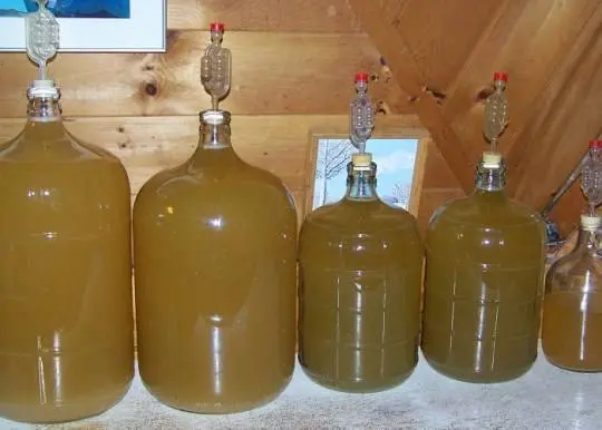 Homemade apple juice wine: recipe