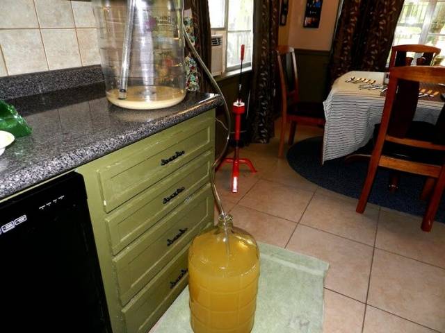 Homemade apple juice wine: recipe