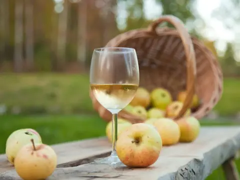 Homemade apple juice wine: recipe