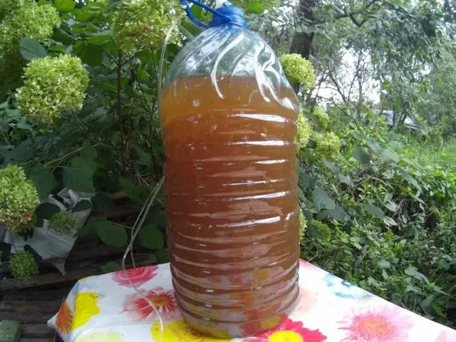 Homemade apple wine: a simple recipe