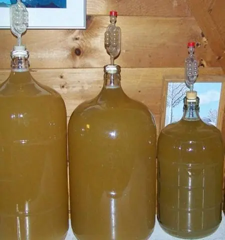 Homemade apple wine: a simple recipe