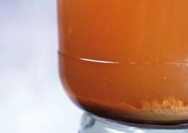 Homemade apple wine: a simple recipe