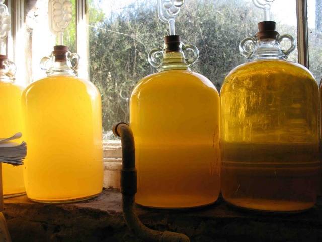 Homemade apple wine: a simple recipe